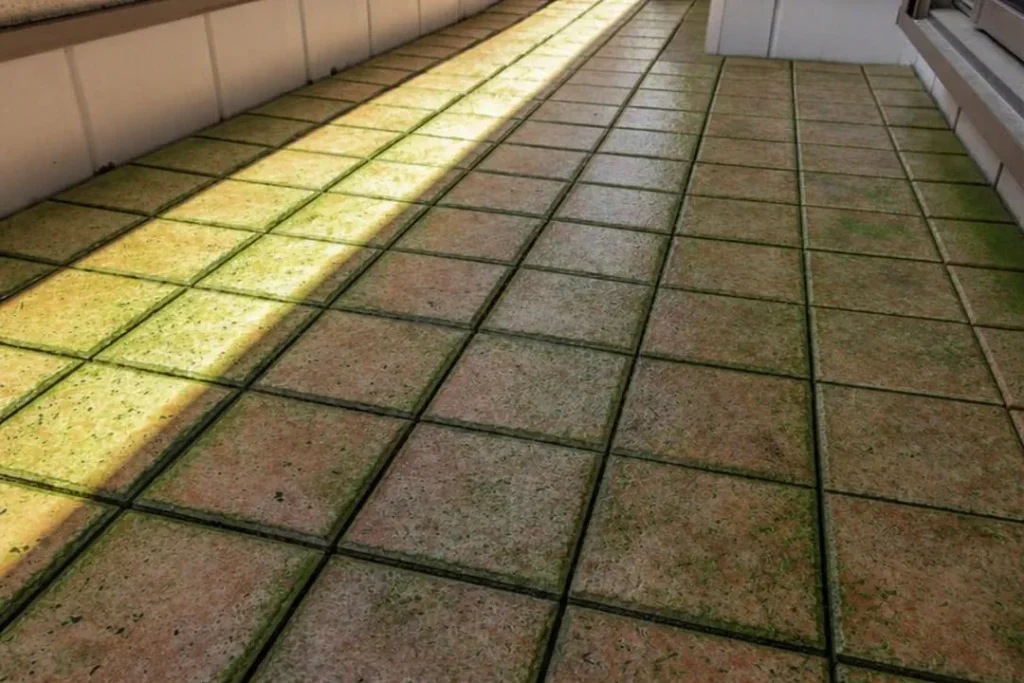 outdoor tiles with algae